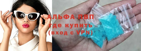 ПСИЛОЦИБИНОВЫЕ ГРИБЫ Новозыбков