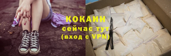 ПСИЛОЦИБИНОВЫЕ ГРИБЫ Новозыбков