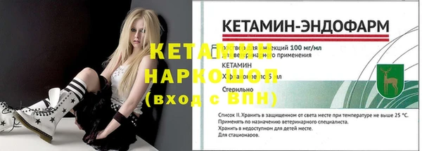 ПСИЛОЦИБИНОВЫЕ ГРИБЫ Новозыбков