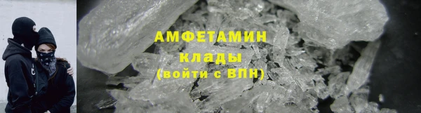 ПСИЛОЦИБИНОВЫЕ ГРИБЫ Новозыбков