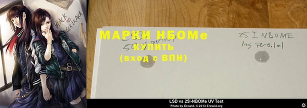 ПСИЛОЦИБИНОВЫЕ ГРИБЫ Новозыбков