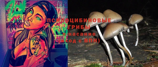 наркотики Новодвинск