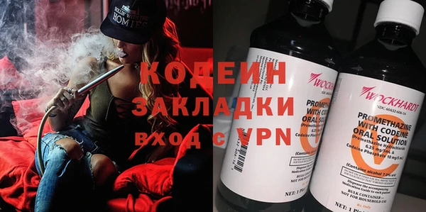 ПСИЛОЦИБИНОВЫЕ ГРИБЫ Новозыбков