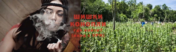 ПСИЛОЦИБИНОВЫЕ ГРИБЫ Новозыбков