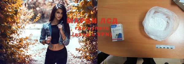 ПСИЛОЦИБИНОВЫЕ ГРИБЫ Новозыбков