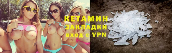 ПСИЛОЦИБИНОВЫЕ ГРИБЫ Новозыбков