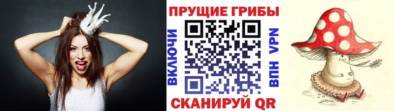 Псилоцибиновые грибы прущие грибы  kraken tor  Северск 