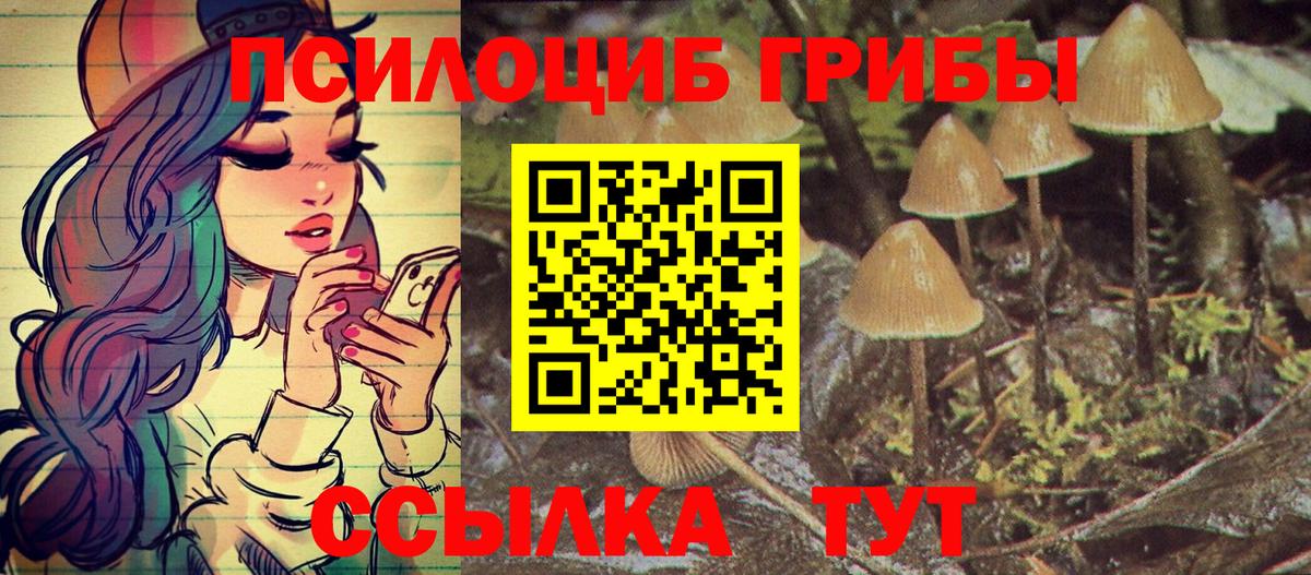 Псилоцибиновые грибы ЛСД Северск