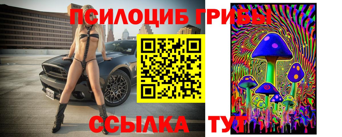 Галлюциногенные грибы GOLDEN TEACHER  Галлюциногенные грибы Cubensis  Северск  Вход с VPN 